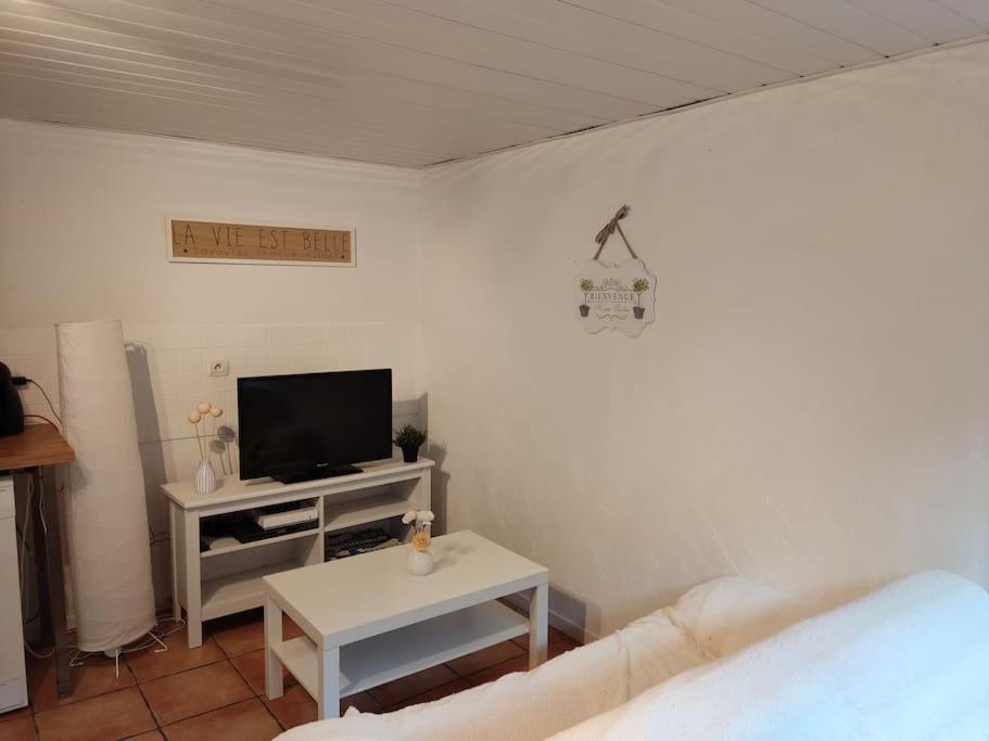 Appartement En Rez De Jardin Et Terrasse Ds Villa Hyères Exteriér fotografie